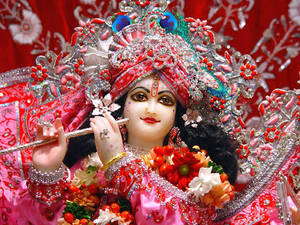 Divine Gaze Of Krishna Ji Wallpaper