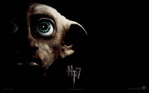 Dobby The House Elf Wallpaper