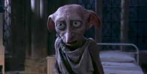 Dobby The House Elf Ready To Help Harry Potter Wallpaper
