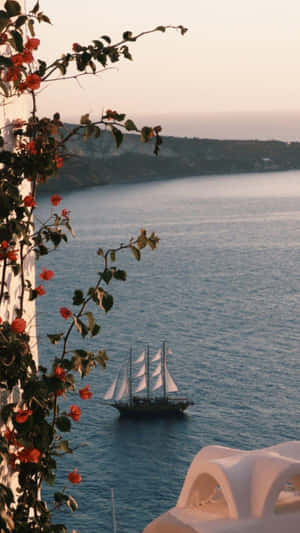 Document And Explore The Beauty Of Life With Your Travel Aesthetic Phone Wallpaper