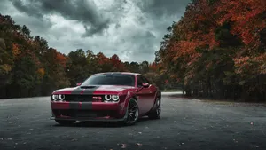 Dodge Challenger Srt Srt Srt Srt Srt Srt Srt Wallpaper