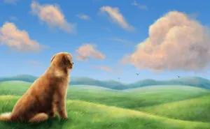 Dog Art On Hill Wallpaper
