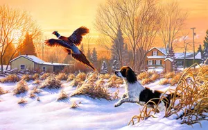 Dog Watching Duck Flying Duck Hunting Desktop Wallpaper