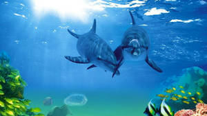 Dolphins Peacefully Swimming With Tropical Fishes. Wallpaper