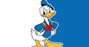 Donald Duck Illustration Wallpaper