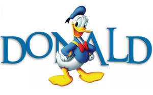 Donald Duck Is Ready For Adventure Wallpaper