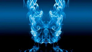 Donnie Darko Blue Flame Wallpaper