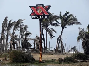 Dos Equis Beer Sign Among Palm Trees Wallpaper