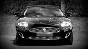 Download Jaguar Car Wallpaper Wallpaper
