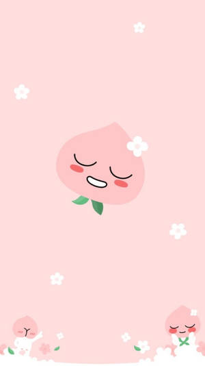 Download Kakao Friends Wallpaper Wallpaper