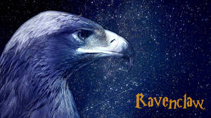 Download Ravenclaw Wallpaper Wallpaper