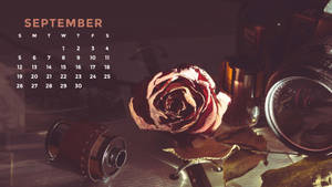 Download September Wallpaper Wallpaper