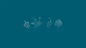 Download Teal Wallpaper Wallpaper