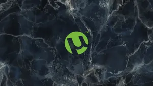 Download Using The Speed And Security Of A Torrent Wallpaper