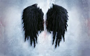 Download Wings Wallpaper Wallpaper