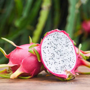 Dragonfruit Outdoor Fruit Photography Wallpaper