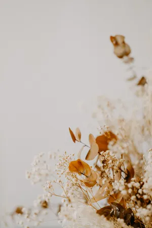 Dried Bunga Side View Wallpaper