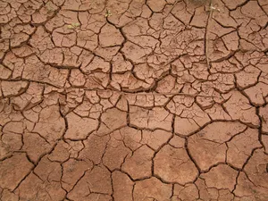 Dried Mud Cracks Volcanic Ashes Wallpaper