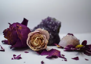 Dried Purple Roses With Crystals Wallpaper