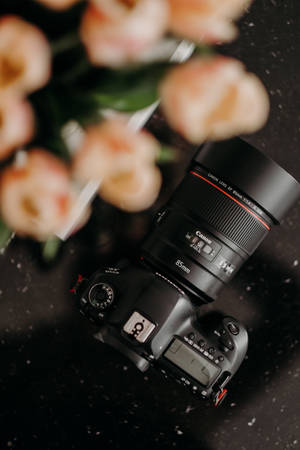 Dslr Camera And Flowers Wallpaper