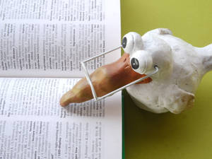 Duck Figurine With Reference Book Wallpaper