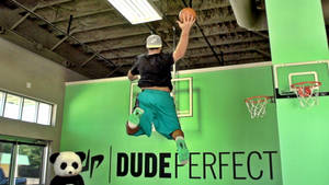 Dude Perfect Basketball Panda Wallpaper