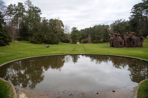 Duke University Gardens Pond Wallpaper