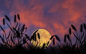 Dusk Moon Night Sky Wallpaper