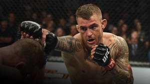 Dustin Poirier Punch Dodged Wallpaper