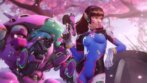 Dva Enjoys A Cherry Blossom View Wallpaper