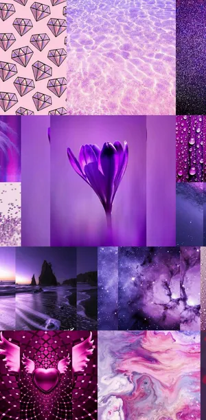 Dynamic Purple Collage Wallpaper