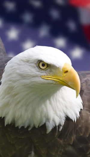 Eagle With Flag Iphone Wallpaper