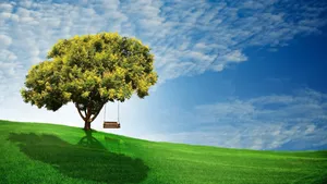 Earth Day Tree Swing Wallpaper