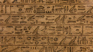 Egyptian Hieroglyphic Writing Wallpaper