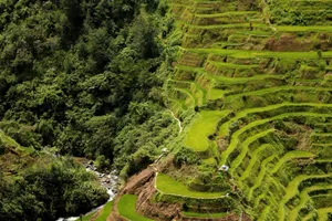 Eighth Wonder Of The World Banaue Rice Terraces Wallpaper