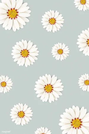 Elegant Gray Daisy Wallpaper For Smartphone Wallpaper
