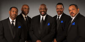 Elegant Quintetin Black Suits Wallpaper