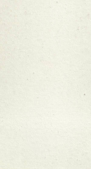 Embrace Minimalism With This Sleek Beige Iphone. Wallpaper