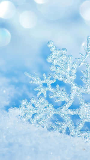 Embrace The Beauty Of Winter. Wallpaper