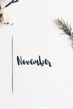 Embrace The Joy Of Cute November Wallpaper