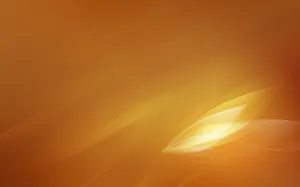 Embrace The Joy Of Orange Wallpaper