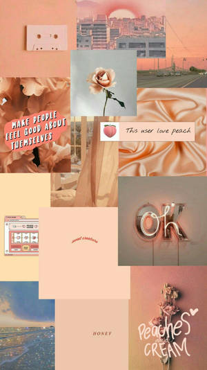 Embrace The Peach Aesthetic Vibrancy Wallpaper