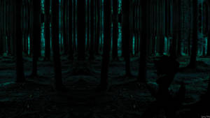 Embrace The Tranquility Of A Lone, Dark Forest At Night Wallpaper