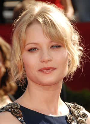 Emilie De Ravin Red Carpet Look Wallpaper