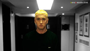 Eminem The Slim Shady Wallpaper