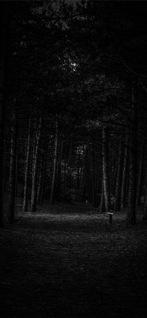 Empty Forest Iphone Dark Wallpaper