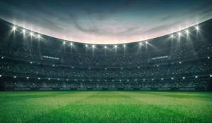 Empty Green Cricket Ground Wallpaper