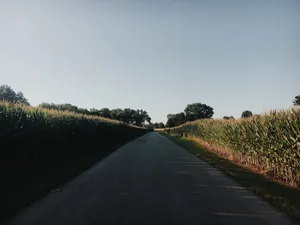 Empty Kentucky Road Wallpaper