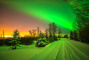 Enchanting Dance Of The Northern Lights Wallpaper