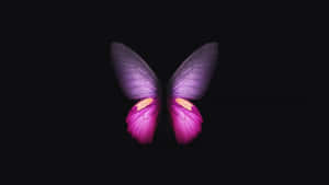 Enchanting Dark Butterfly On A Mysterious Background Wallpaper
